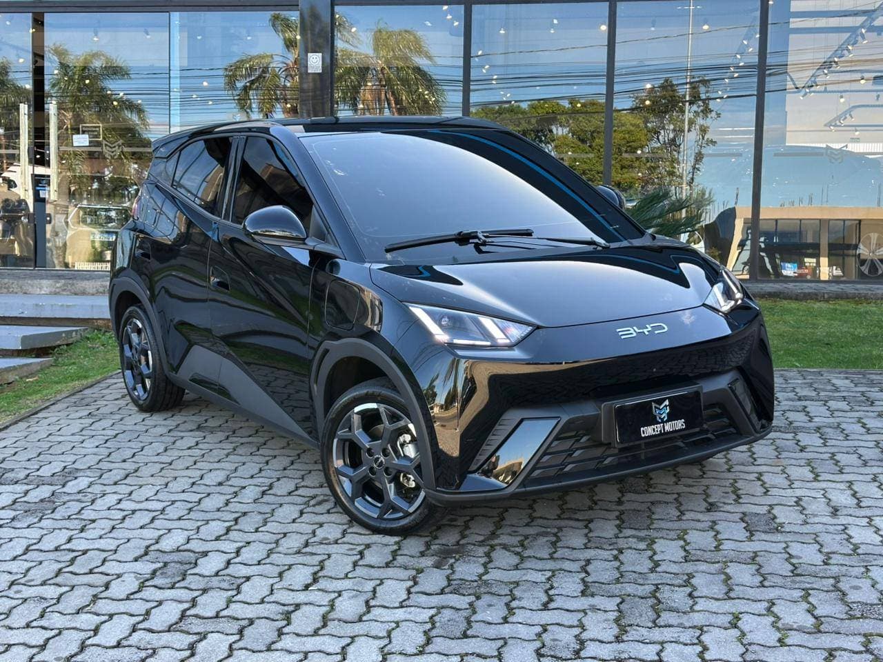 BYD Dolphin Mini GS (Elétrico)