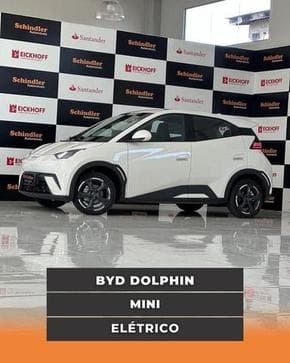 BYD DOLPHIN MINI